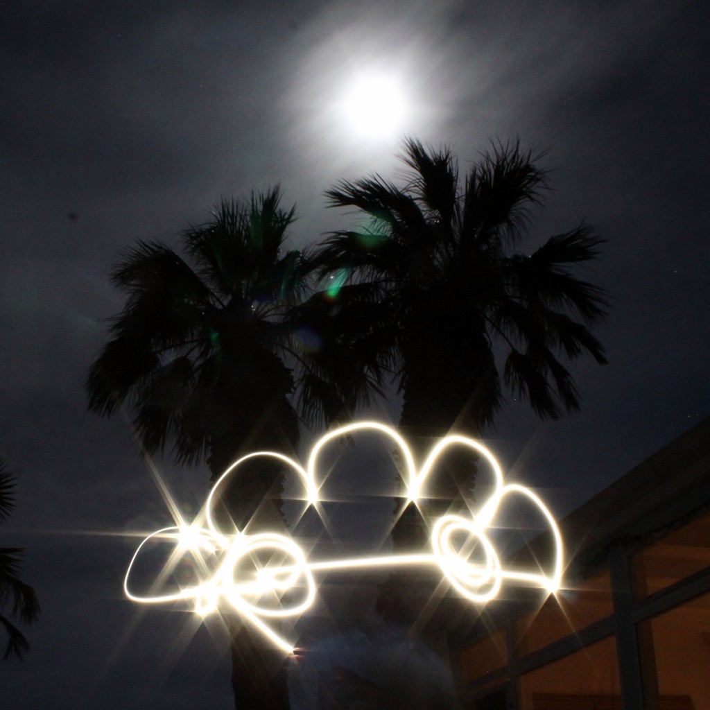 Full moon, palm trees, Carbug Bugcar